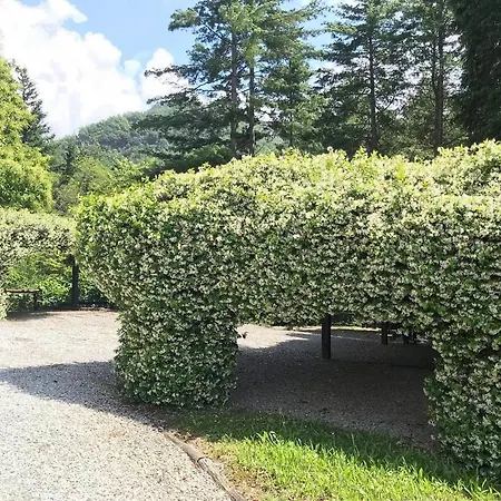 Il Bosco Di Campo Marzano & *