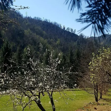 Il Bosco Di Campo Marzano &