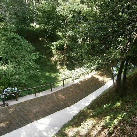 Il Bosco Di Campo Marzano & Guest house