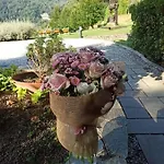 Il Bosco Di Campo Marzano & Gasthof Borzonasca