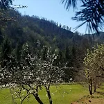 Il Bosco Di Campo Marzano &