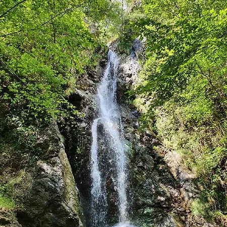 Il Bosco Di Campo Marzano & Borzonasca