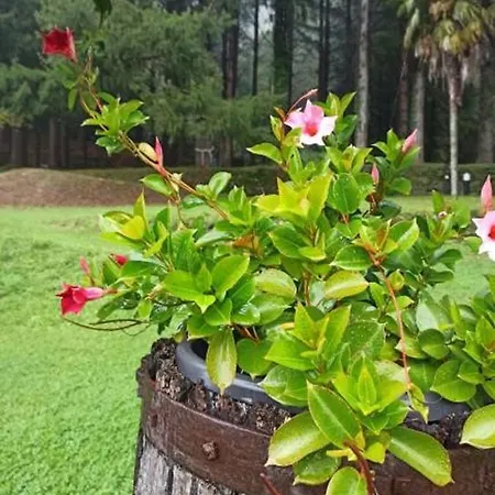 Gæstehus Il Bosco Di Campo Marzano &