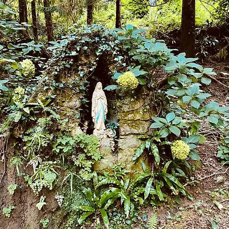 Il Bosco Di Campo Marzano & Borzonasca
