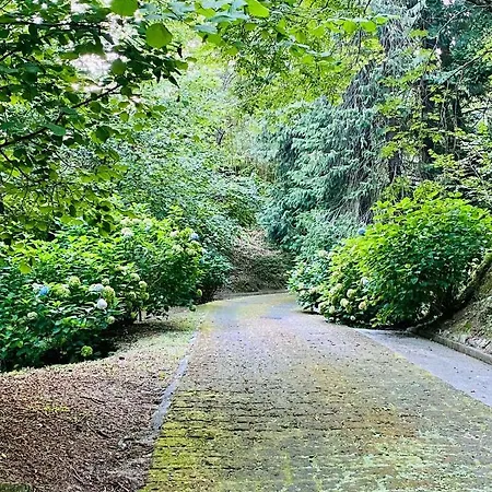 Il Bosco Di Campo Marzano & Gæstehus