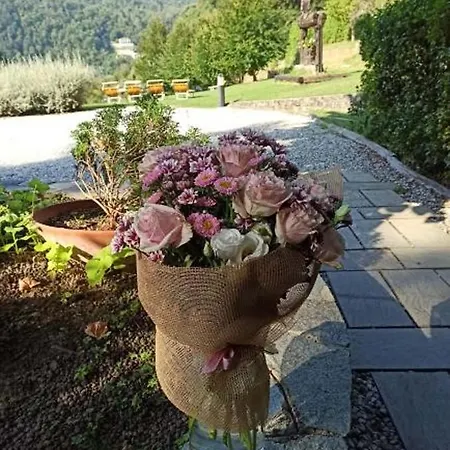 Il Bosco Di Campo Marzano & Maison d'hôtes Borzonasca