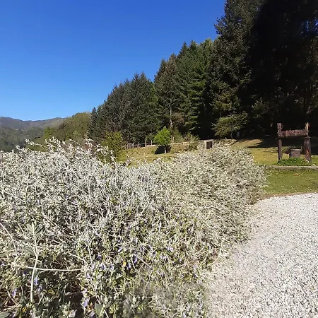 Il Bosco Di Campo Marzano &