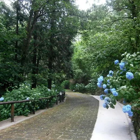 Il Bosco Di Campo Marzano & Gasthuis Borzonasca
