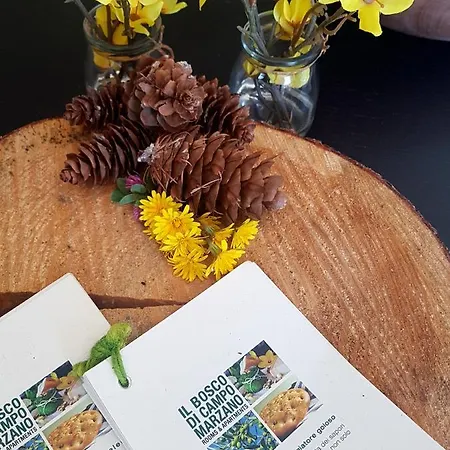 Il Bosco Di Campo Marzano & Borzonasca