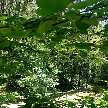 Il Bosco Di Campo Marzano & Gasthuis Borzonasca
