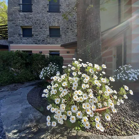 Il Bosco Di Campo Marzano & Borzonasca