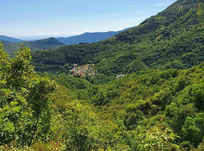 Il Bosco Di Campo Marzano & Guest house