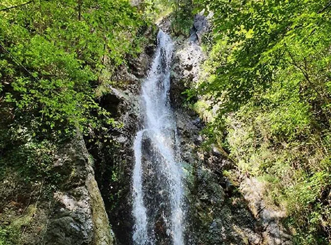 Il Bosco Di Campo Marzano Rooms&apartments Borzonasca