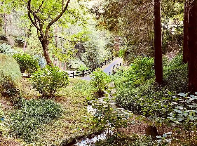 Il Bosco Di Campo Marzano & *