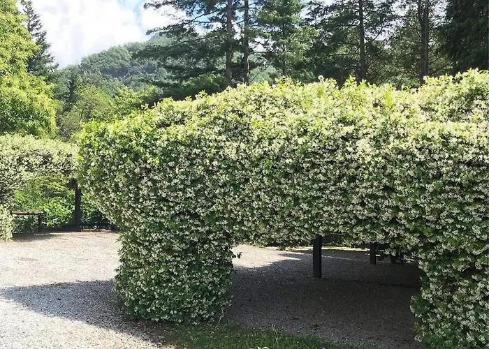 Il Bosco Di Campo Marzano Rooms&apartments *