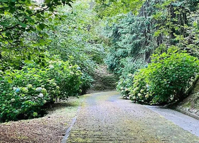 Il Bosco Di Campo Marzano & Guest house