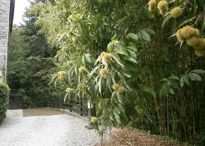Il Bosco Di Campo Marzano Rooms&apartments Affittacamere Borzonasca