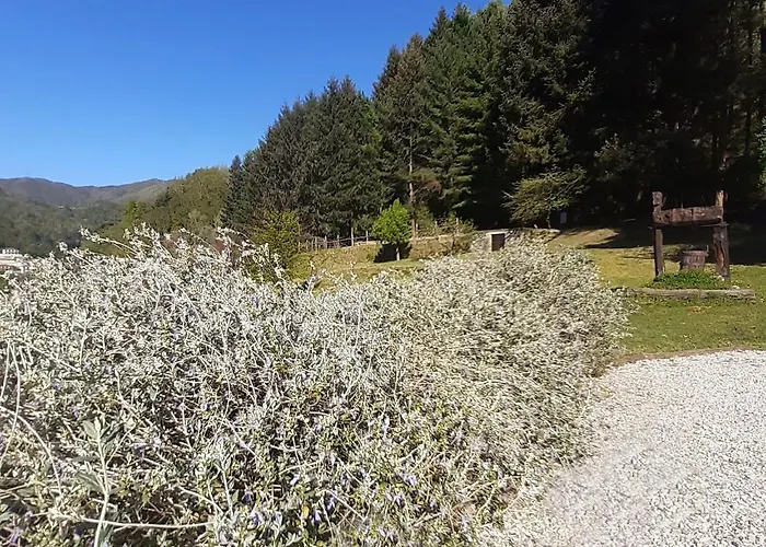 Il Bosco Di Campo Marzano Rooms&apartments