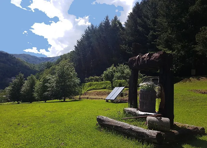 Il Bosco Di Campo Marzano & Guest house Borzonasca