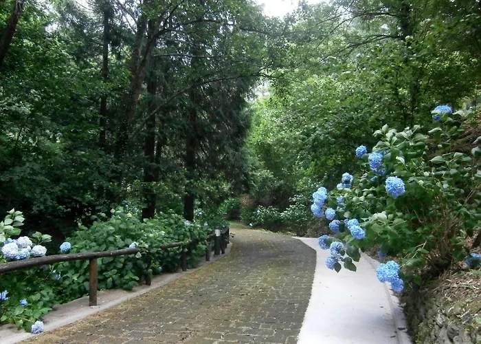 Il Bosco Di Campo Marzano & Guest house Borzonasca