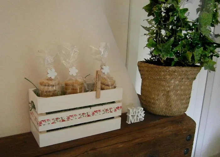 Affittacamere Il Bosco Di Campo Marzano Rooms&apartments