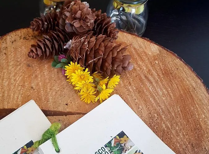 Il Bosco Di Campo Marzano & Borzonasca