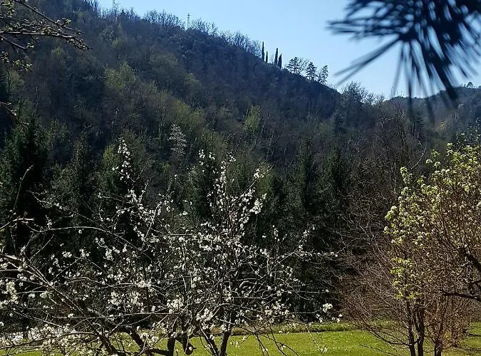 Il Bosco Di Campo Marzano &