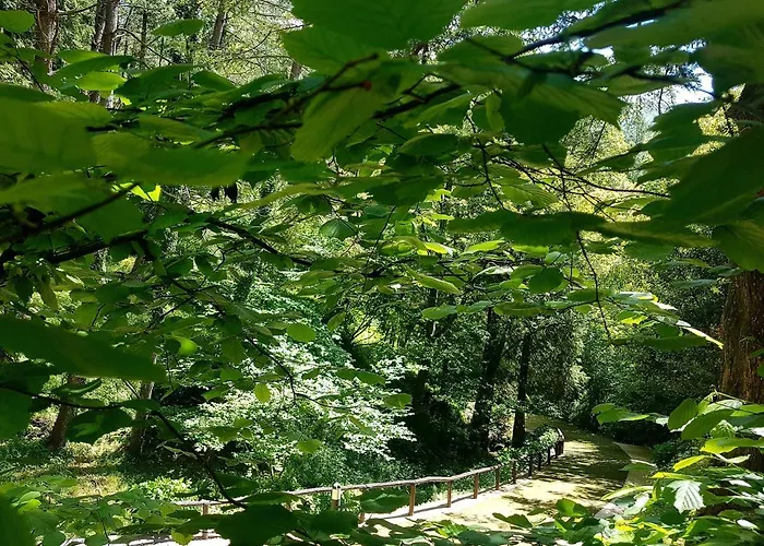 Il Bosco Di Campo Marzano & Guest house Borzonasca