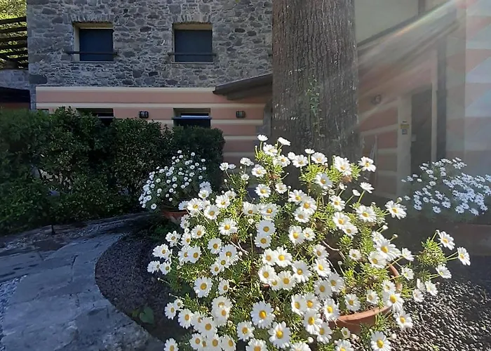 Il Bosco Di Campo Marzano Rooms&apartments Borzonasca