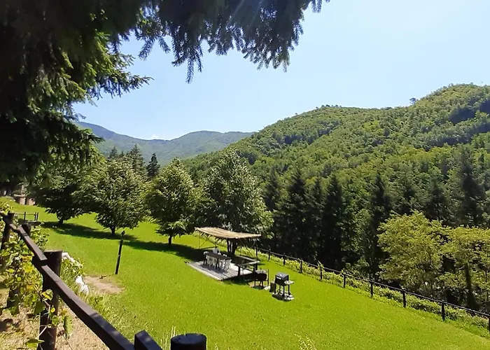 Il Bosco Di Campo Marzano Rooms&apartments Borzonasca